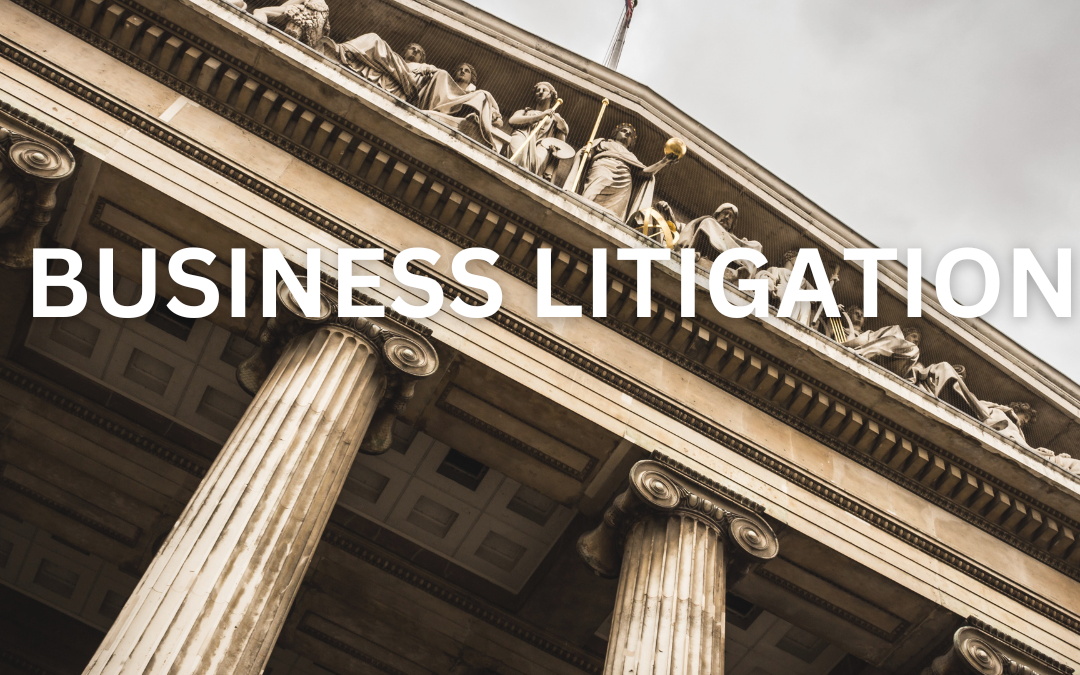 business-litigation