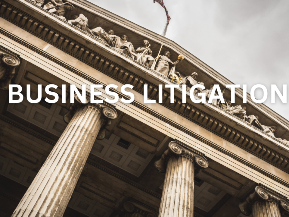 business-litigation