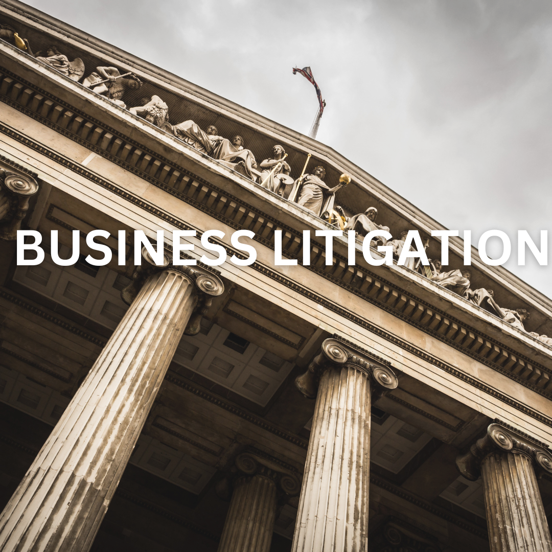 business-litigation