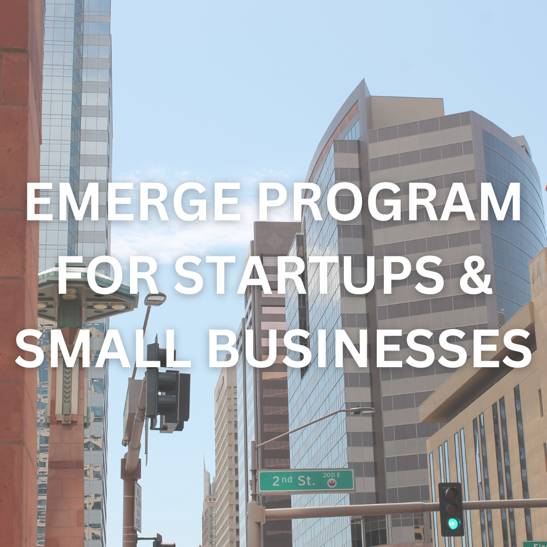 emerge-program-for-startups-small-businesses